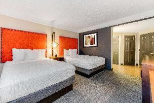 Double Room with Two Double Beds - Disability Access,1275551530:JPEG