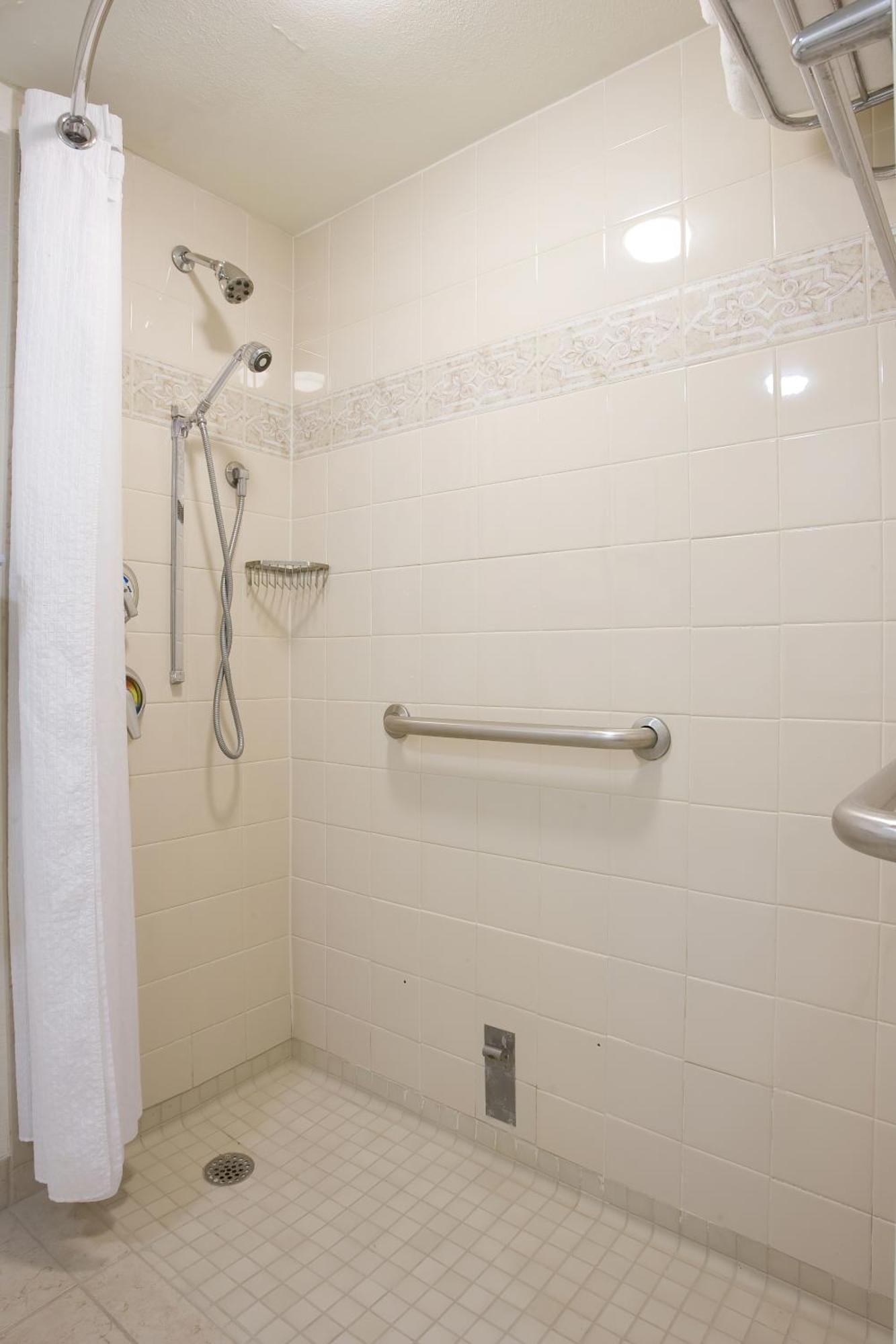 Standard King Room Roll Shower Disability Access