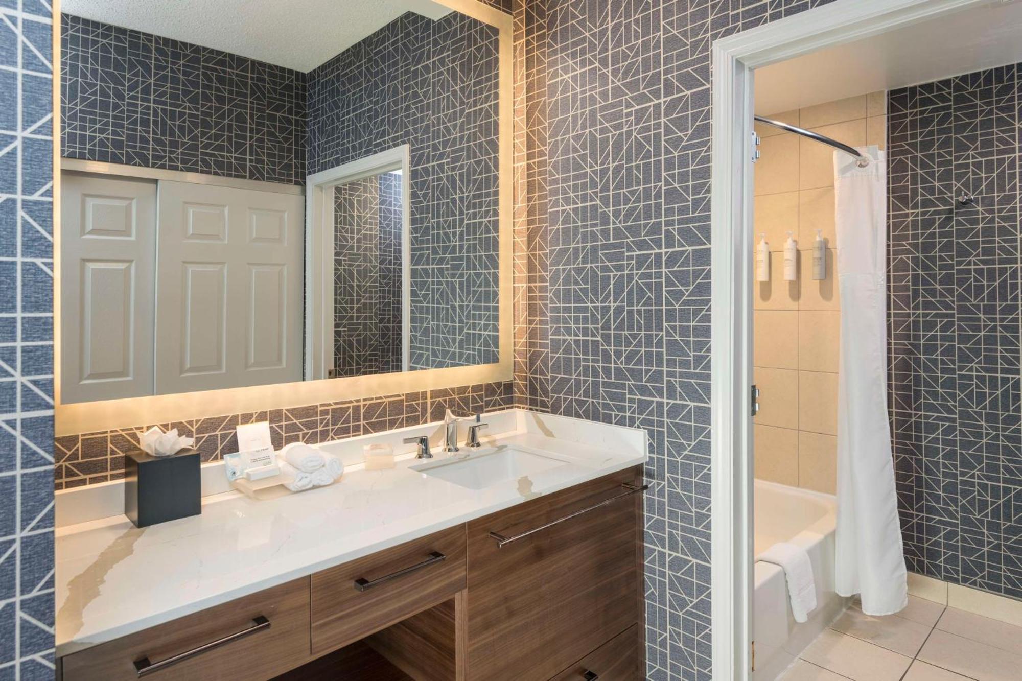 One-Bedroom King Suite Non-Smoking