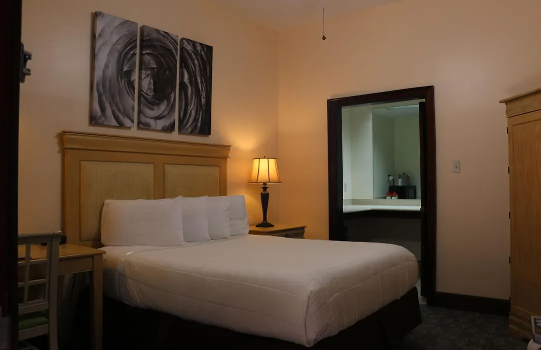 The Prytania Park Hotel-1