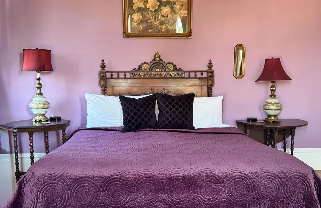 The Dragonfly Treme-Historic Guesthouse-Near French Quarter-1