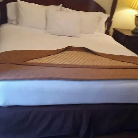 New Orleans Guest House-3