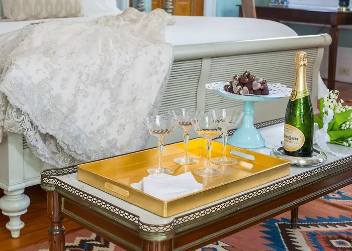 Sully Mansion Bed & Breakfast Inn New Orleans